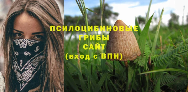 соль курить ск Заводоуковск