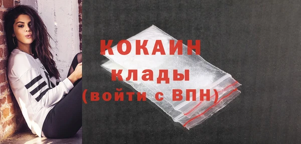 соль курить ск Заводоуковск