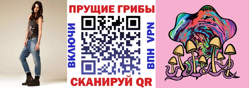 Галлюциногенные грибы Psilocybine cubensis  Канск 